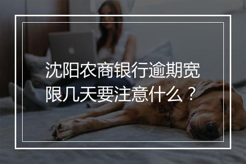 沈阳农商银行逾期宽限几天要注意什么？