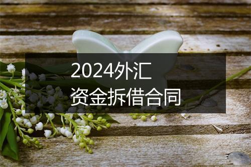 2024外汇资金拆借合同