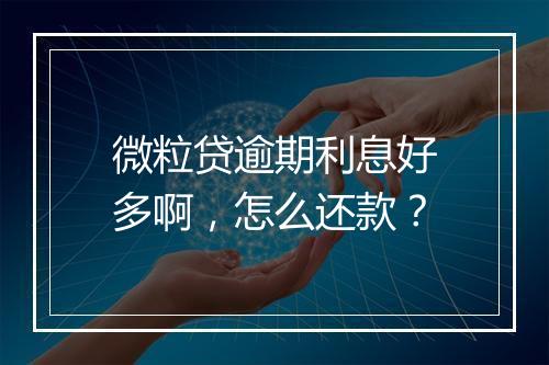 微粒贷逾期利息好多啊，怎么还款？