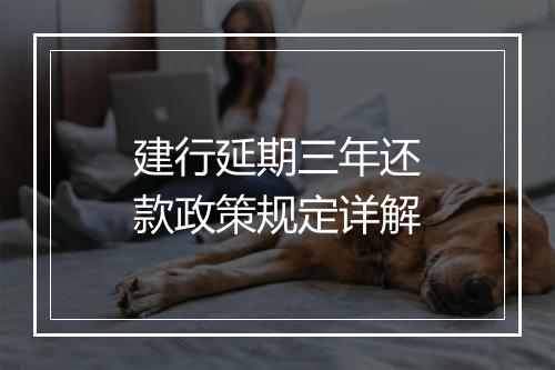 建行延期三年还款政策规定详解