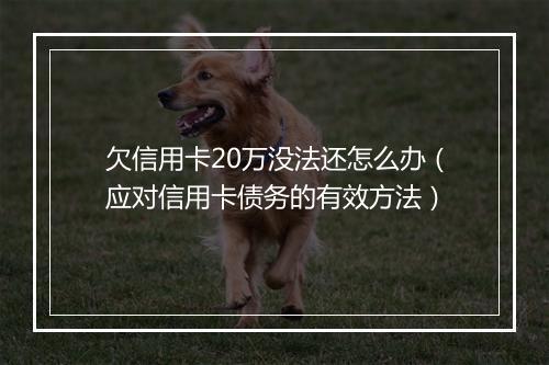欠信用卡20万没法还怎么办（应对信用卡债务的有效方法）