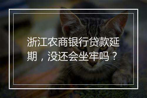 浙江农商银行贷款延期，没还会坐牢吗？