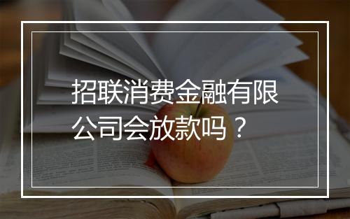 招联消费金融有限公司会放款吗？