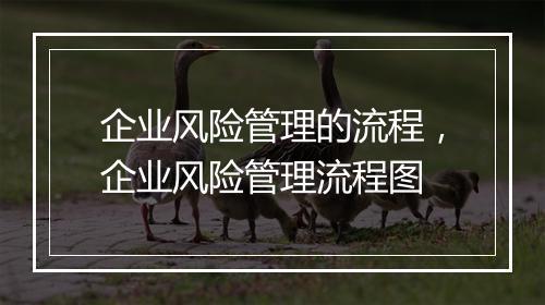 企业风险管理的流程，企业风险管理流程图