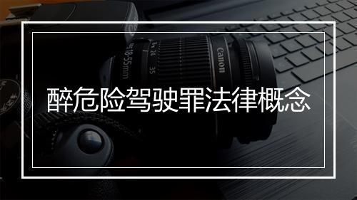 醉危险驾驶罪法律概念