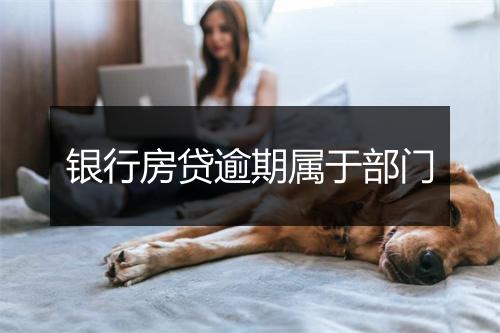 银行房贷逾期属于部门