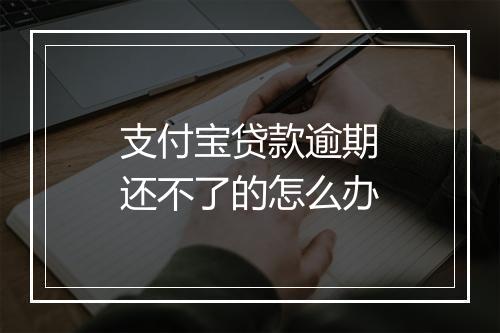 支付宝贷款逾期还不了的怎么办