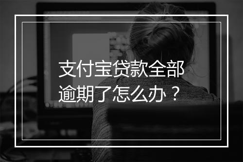 支付宝贷款全部逾期了怎么办？