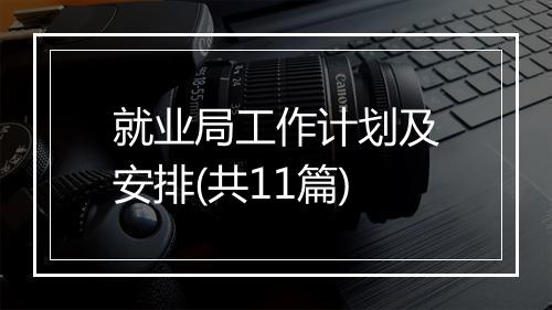 就业局工作计划及安排(共11篇)