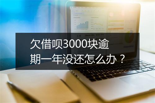 欠借呗3000块逾期一年没还怎么办？