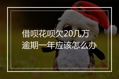 借呗花呗欠20几万逾期一年应该怎么办
