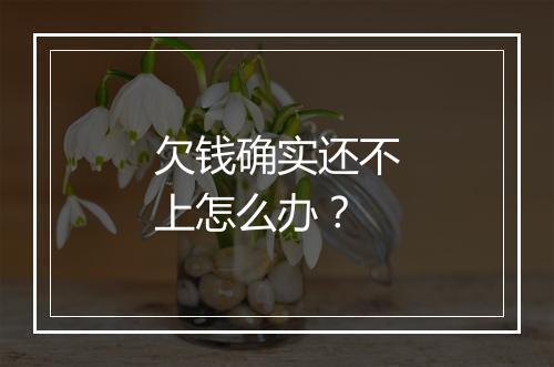 欠钱确实还不上怎么办？