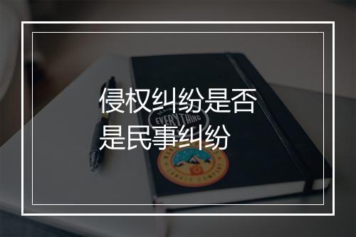 侵权纠纷是否是民事纠纷