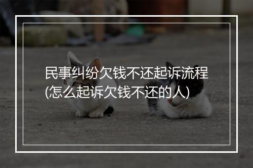 民事纠纷欠钱不还起诉流程(怎么起诉欠钱不还的人)