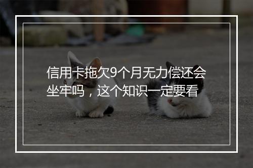 信用卡拖欠9个月无力偿还会坐牢吗，这个知识一定要看