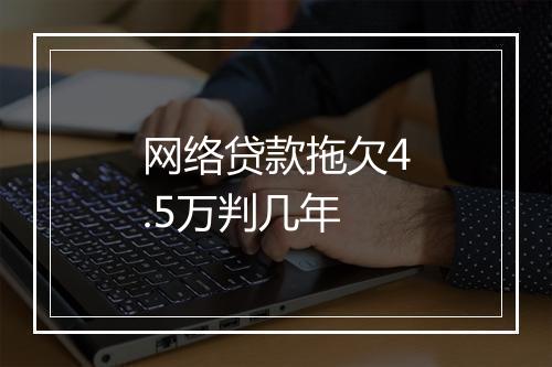网络贷款拖欠4.5万判几年