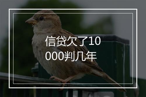 信贷欠了10000判几年