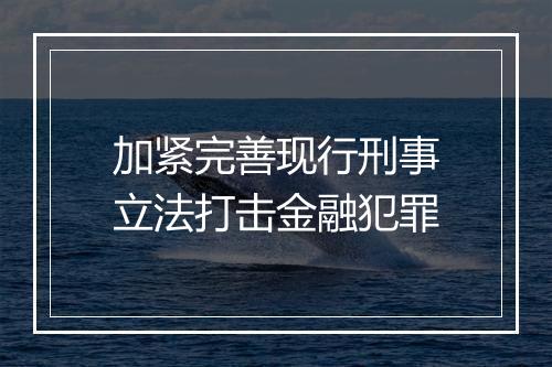 加紧完善现行刑事立法打击金融犯罪