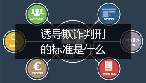 诱导欺诈判刑的标准是什么