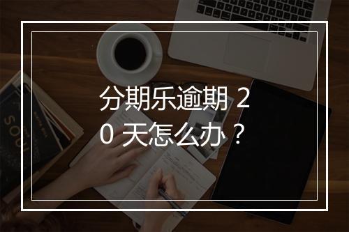 分期乐逾期 20 天怎么办？