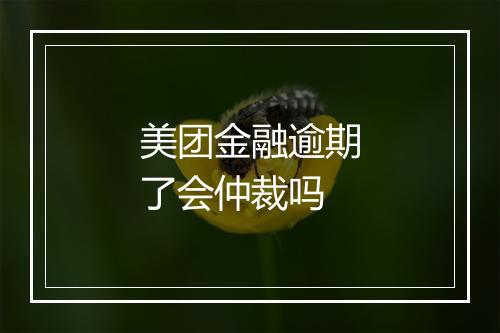 美团金融逾期了会仲裁吗