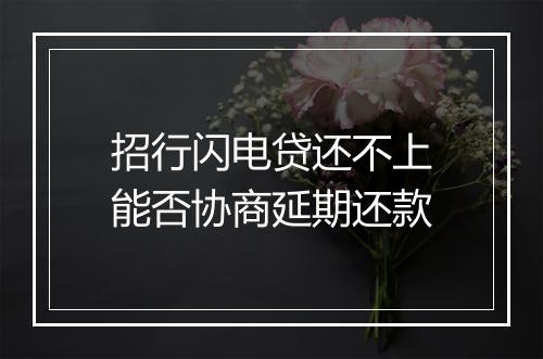 招行闪电贷还不上能否协商延期还款