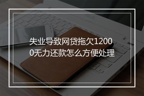 失业导致网贷拖欠12000无力还款怎么方便处理
