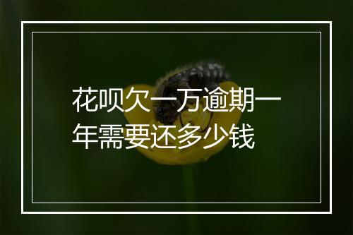 花呗欠一万逾期一年需要还多少钱