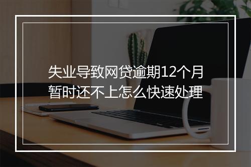 失业导致网贷逾期12个月暂时还不上怎么快速处理