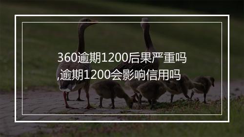 360逾期1200后果严重吗,逾期1200会影响信用吗