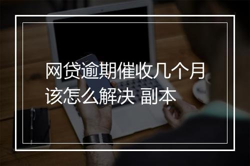 网贷逾期催收几个月该怎么解决 副本