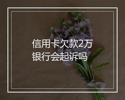 信用卡欠款2万银行会起诉吗