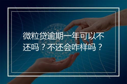 微粒贷逾期一年可以不还吗？不还会咋样吗？