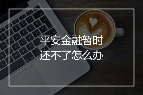 平安金融暂时还不了怎么办