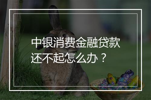 中银消费金融贷款还不起怎么办？