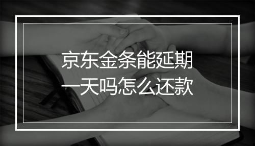京东金条能延期一天吗怎么还款