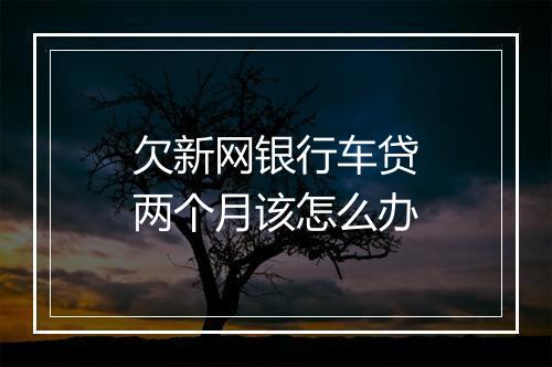 欠新网银行车贷两个月该怎么办