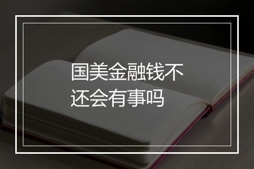 国美金融钱不还会有事吗