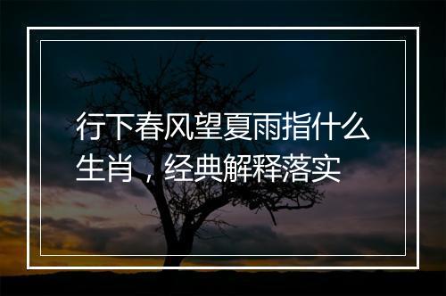 行下春风望夏雨指什么生肖，经典解释落实