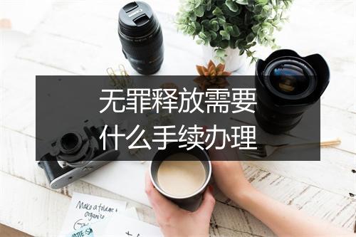 无罪释放需要什么手续办理