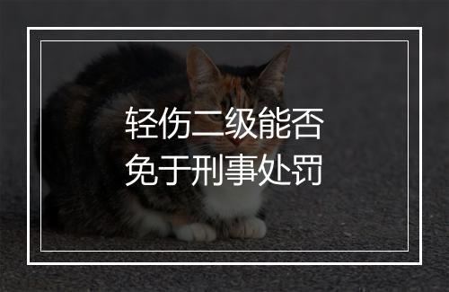 轻伤二级能否免于刑事处罚