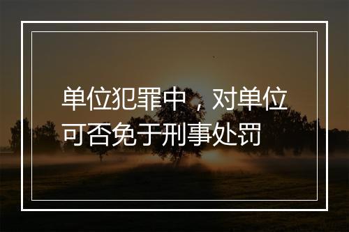 单位犯罪中，对单位可否免于刑事处罚