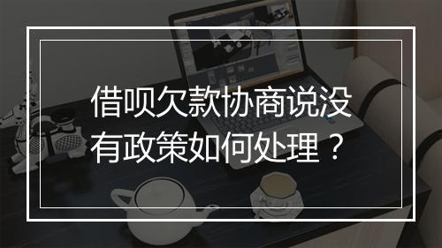 借呗欠款协商说没有政策如何处理？