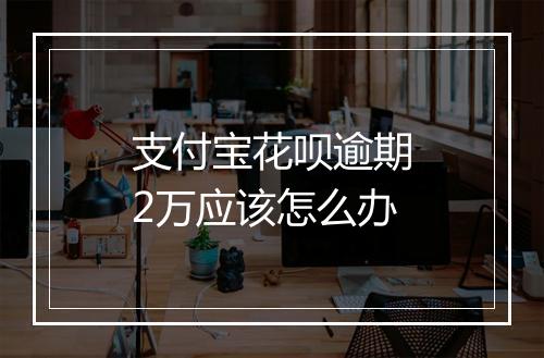 支付宝花呗逾期2万应该怎么办