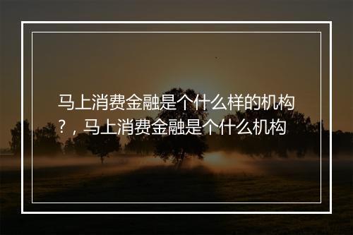 马上消费金融是个什么样的机构?，马上消费金融是个什么机构