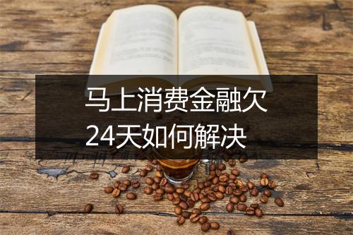 马上消费金融欠24天如何解决