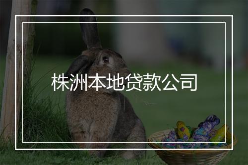 株洲本地贷款公司