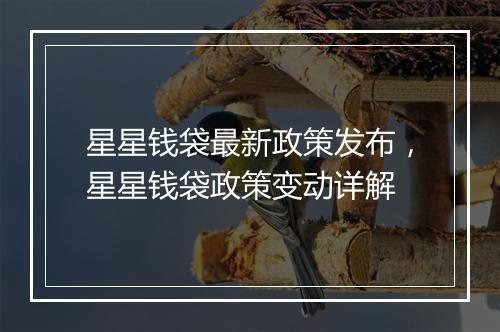 星星钱袋最新政策发布，星星钱袋政策变动详解