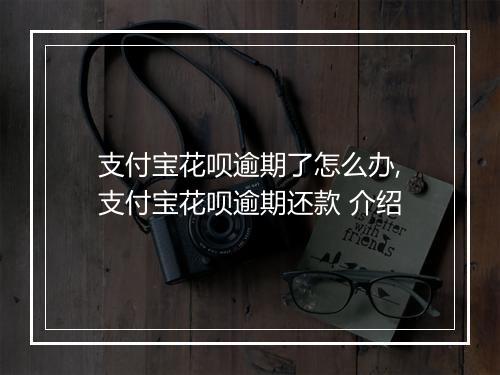 支付宝花呗逾期了怎么办,支付宝花呗逾期还款 介绍