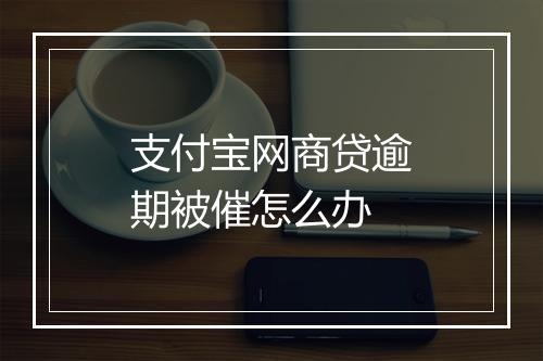 支付宝网商贷逾期被催怎么办